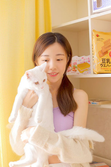 新版西游记